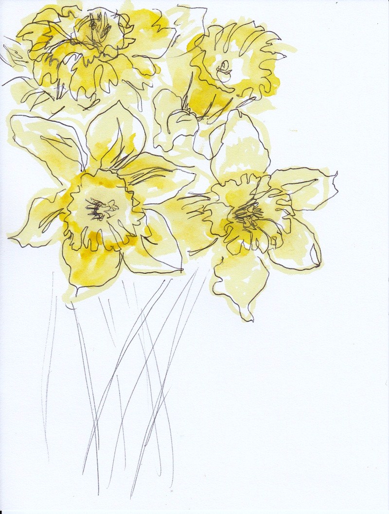 Punktlich Zu Ostern Verzaubern Die Osterglocken Mit Ihren Sonnengelben Bluten