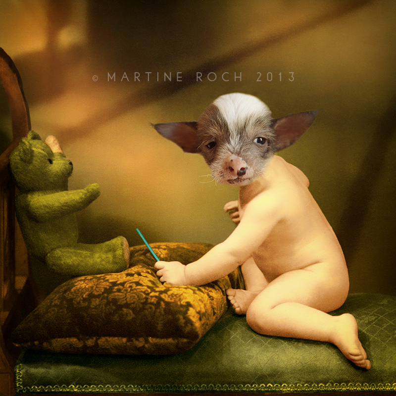 Let me introduce you to Igor. Igor is my puppy, here he's only a month old, pausing naked... because that's how he'll be! Igor is a Chinese Crested dog. He'll only get furry gloves, boots, bonnet and a pompon at his tail. That's it! Igor is a gentle little guy who is going to get home at the end of July.