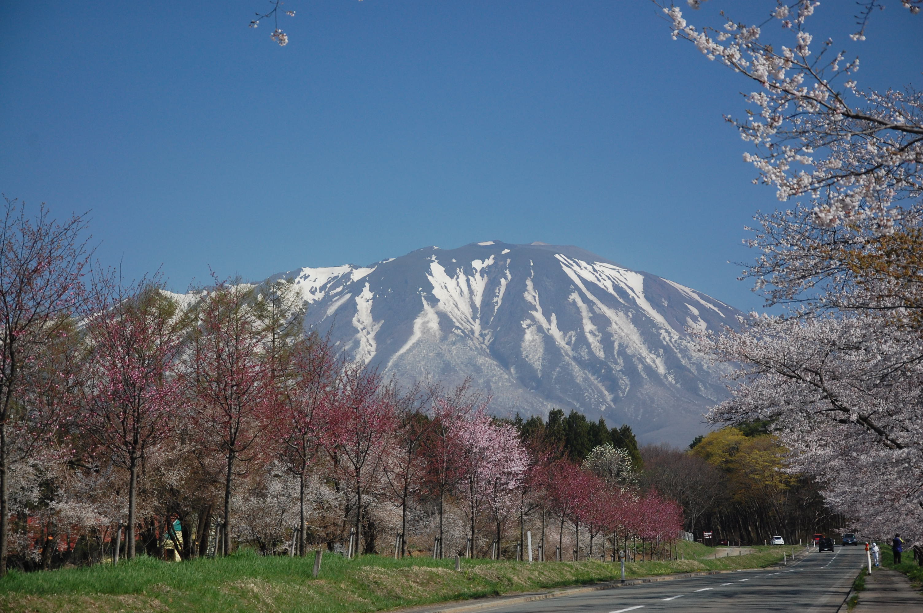 小岩井農場からの岩手山