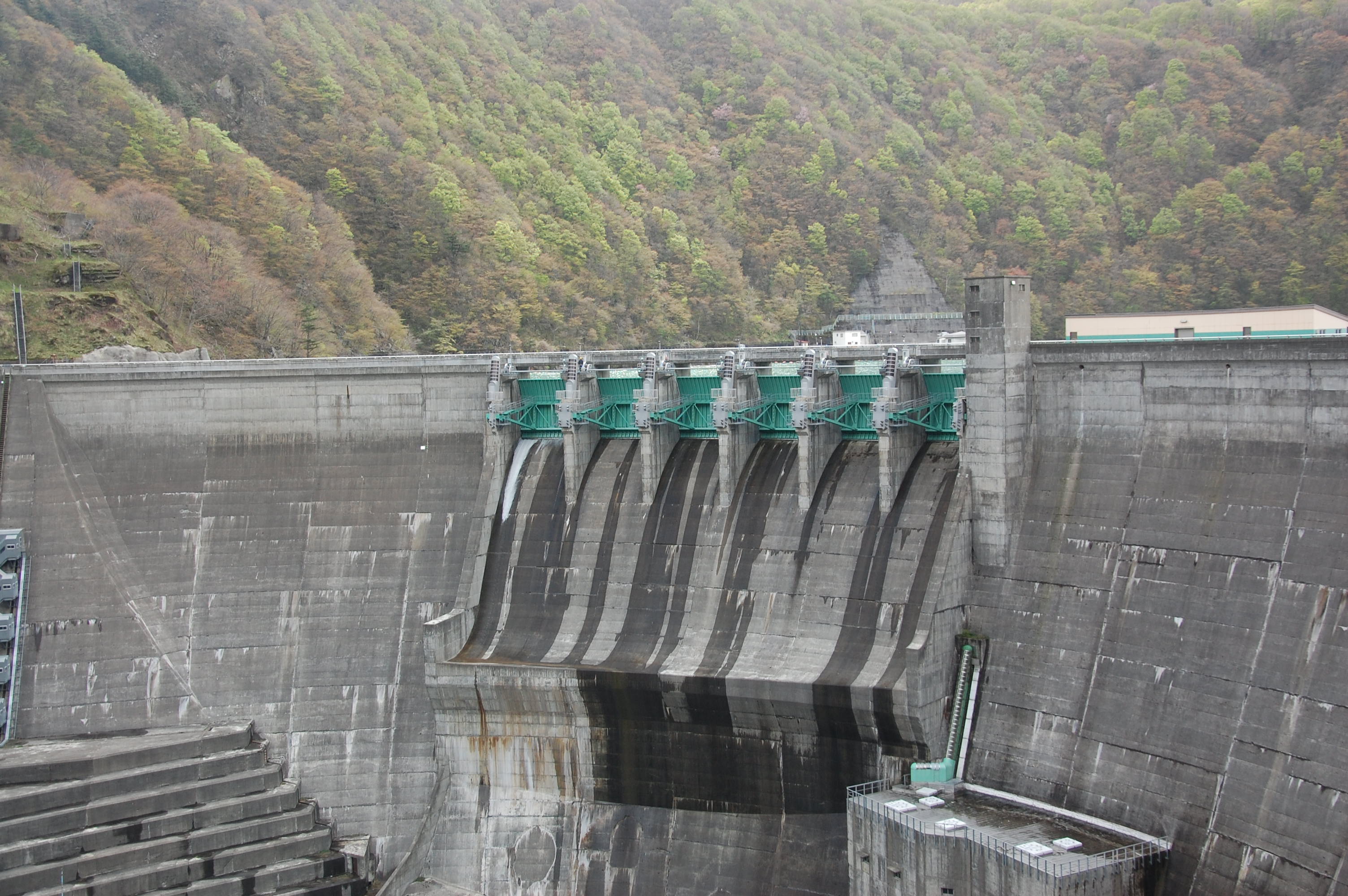 錦秋湖スプリング放流ｉｎ西和賀