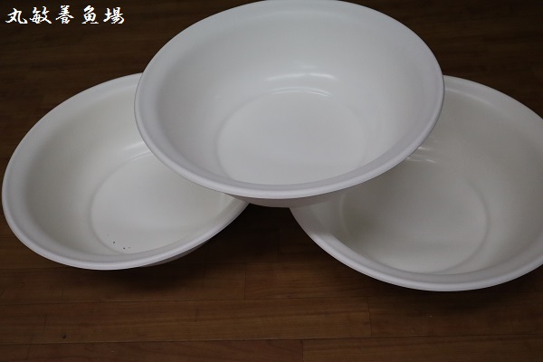 らんちゅうFRP洗面器 FRP洗面器50cm。 ミシロの餌。プロテクトX3，78ℓ。小赤