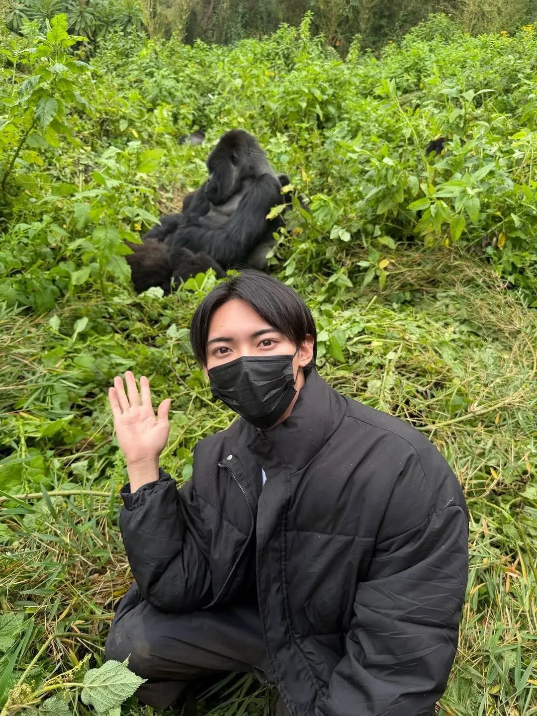 gorilla trekking in Rwanda