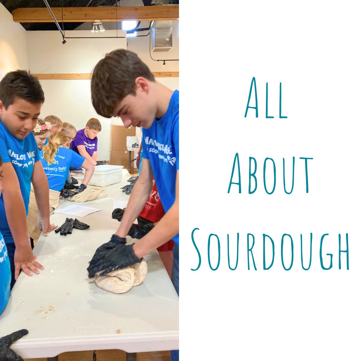 Featured image for “Learning about Sourdough”