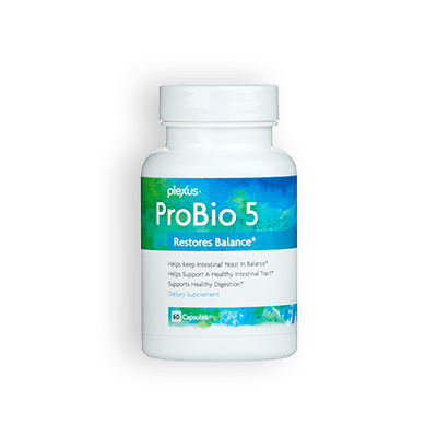 adhd gut health