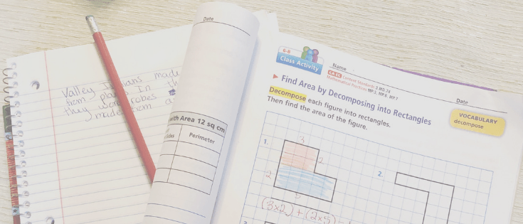 homeschooling your autistic child