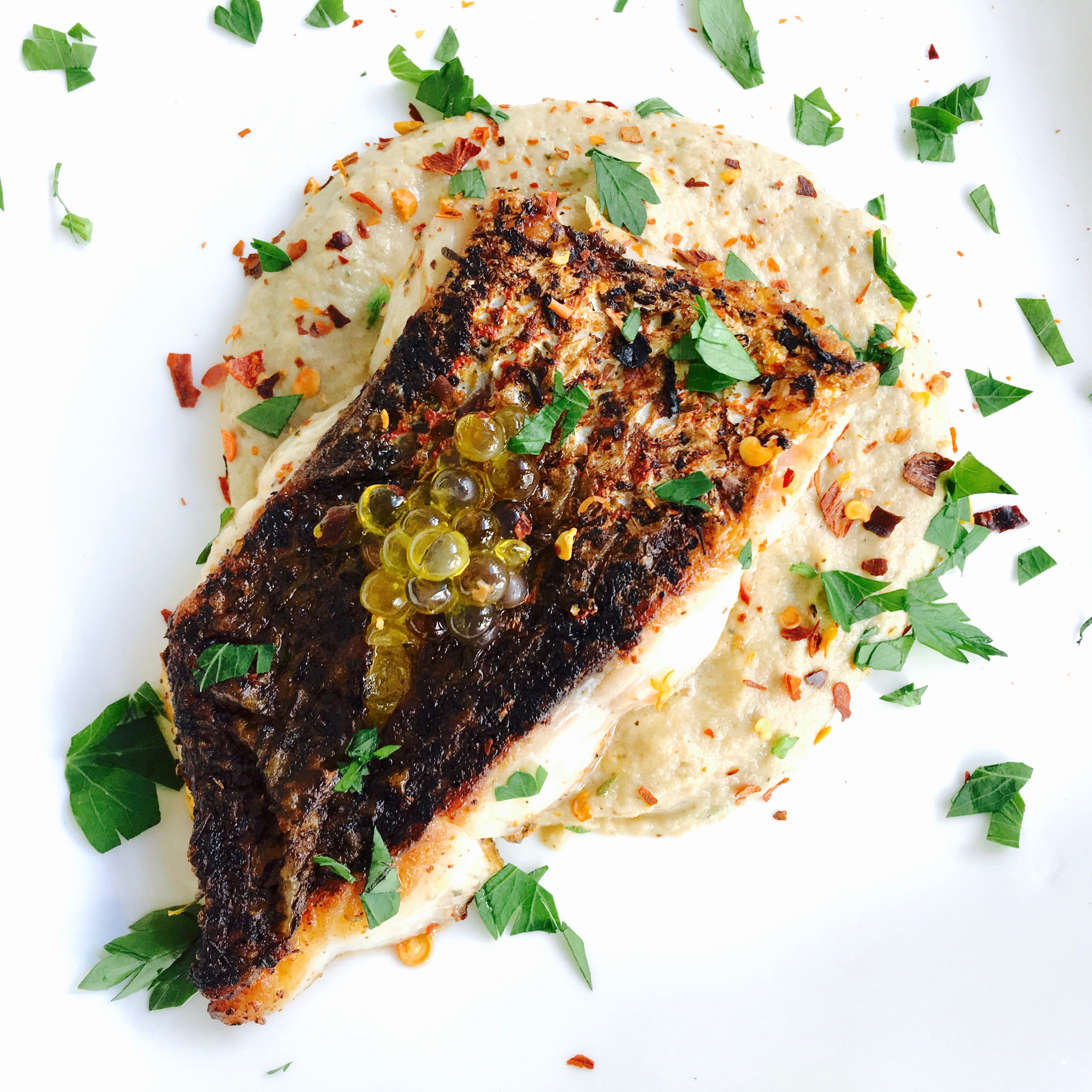 Mediterranean Red Snapper over Cauliflower Puree with Sentiments