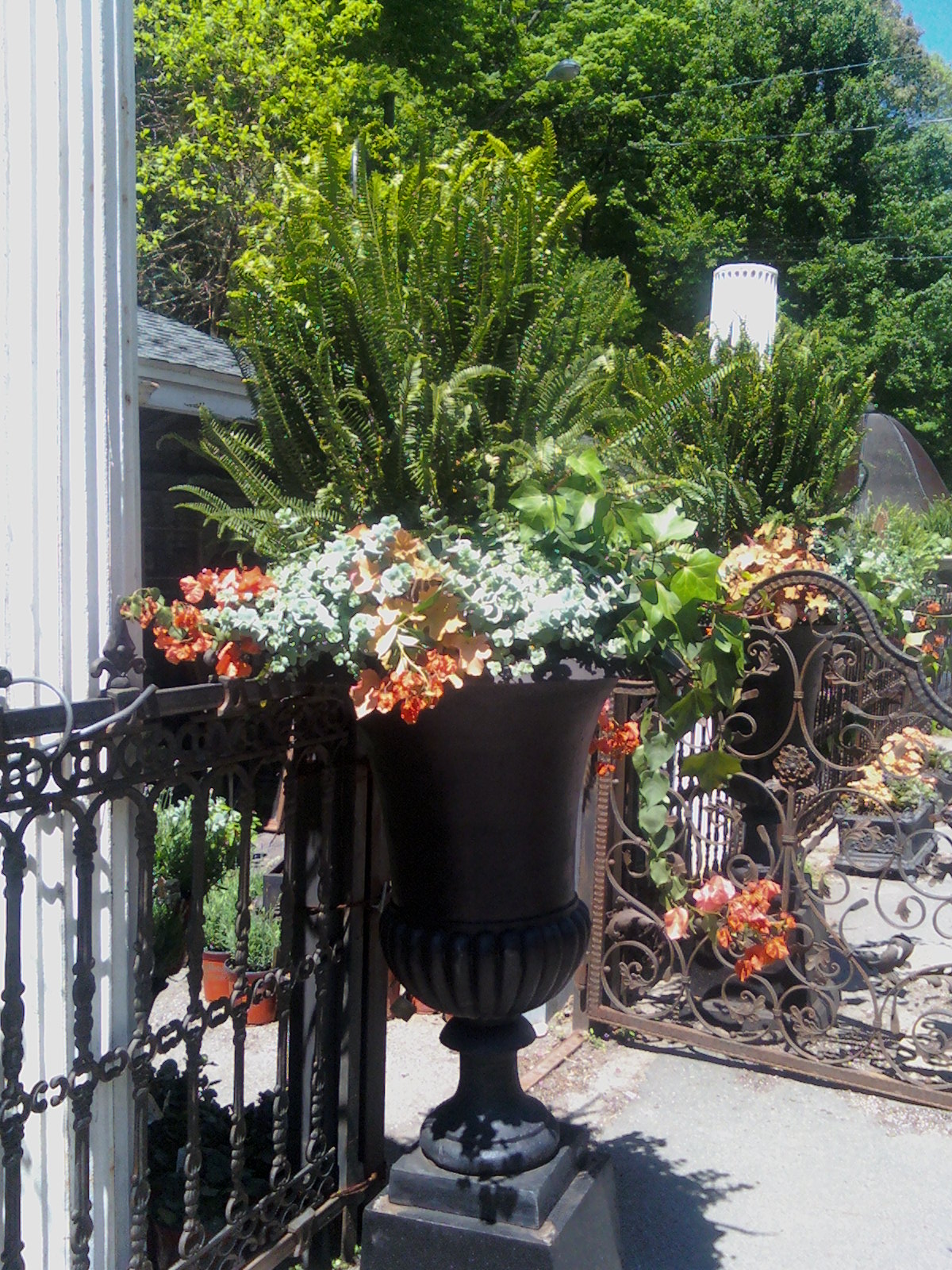 Custom Container Gardening at your Home