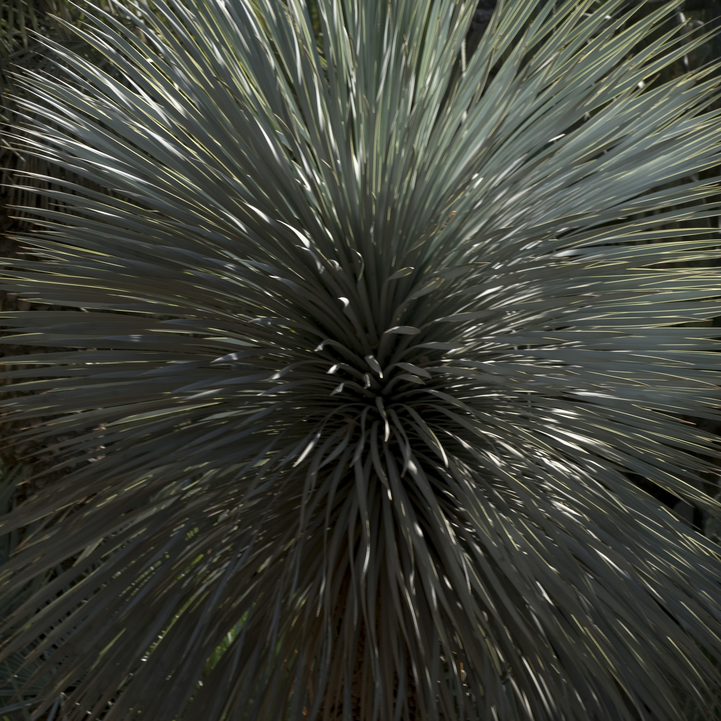 Somewhat out of focus (due to movement) this gives off the impression of an explosion.