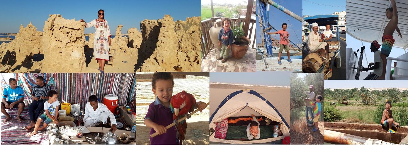 مونتيسوري مصر على قناة تن كانت أول فقرة تقدمها مروة رخا في مجال المونتيسوري في برنامج صباح الورد. تناولت الفقرة فلسفة المونتيسوري بطريقة مبسطة لتساعد الأهل في التعامل مع أطفالهم.