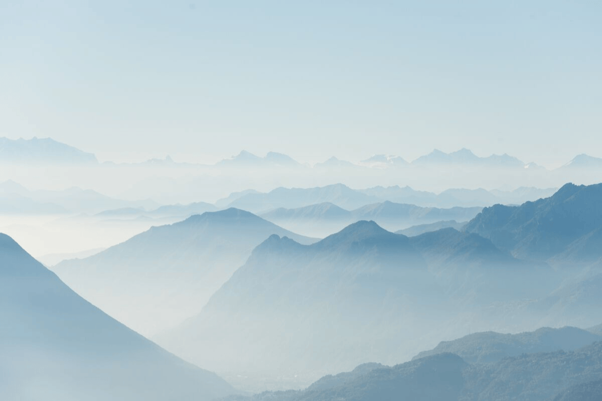 A Note of Gratitude