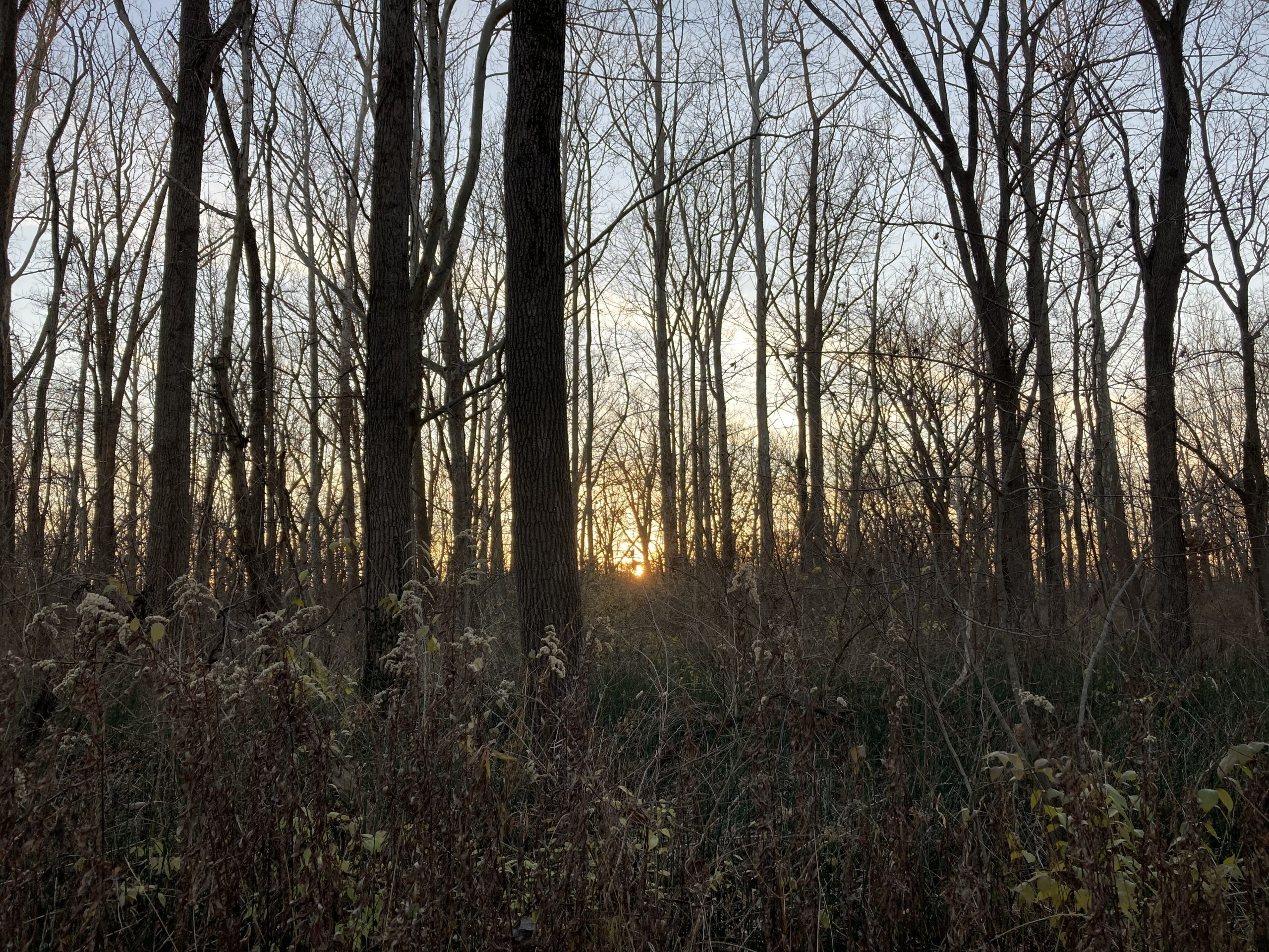 An Invitation for the New Year