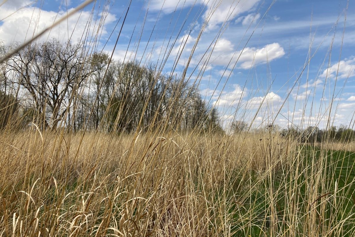 The Power of Being Still as You Walk Toward Healing