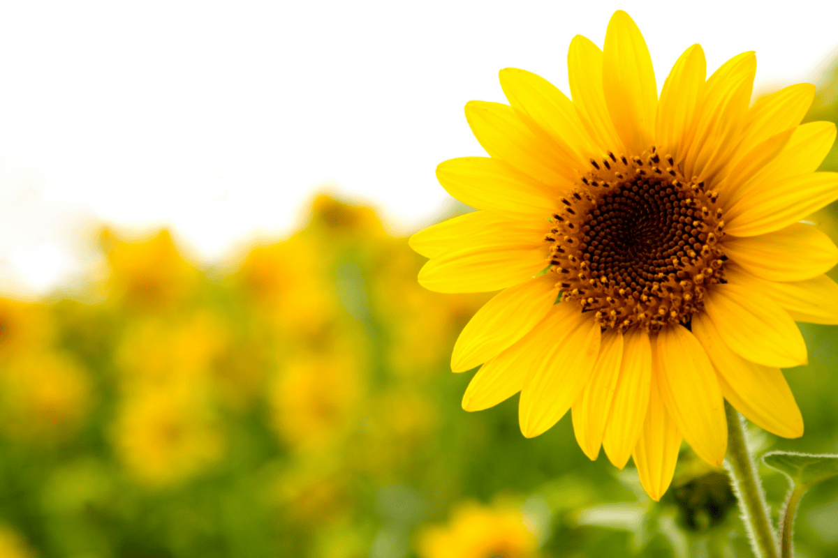 Coping with the Weight of Words and Invisible Illness (And What Actually Helps)