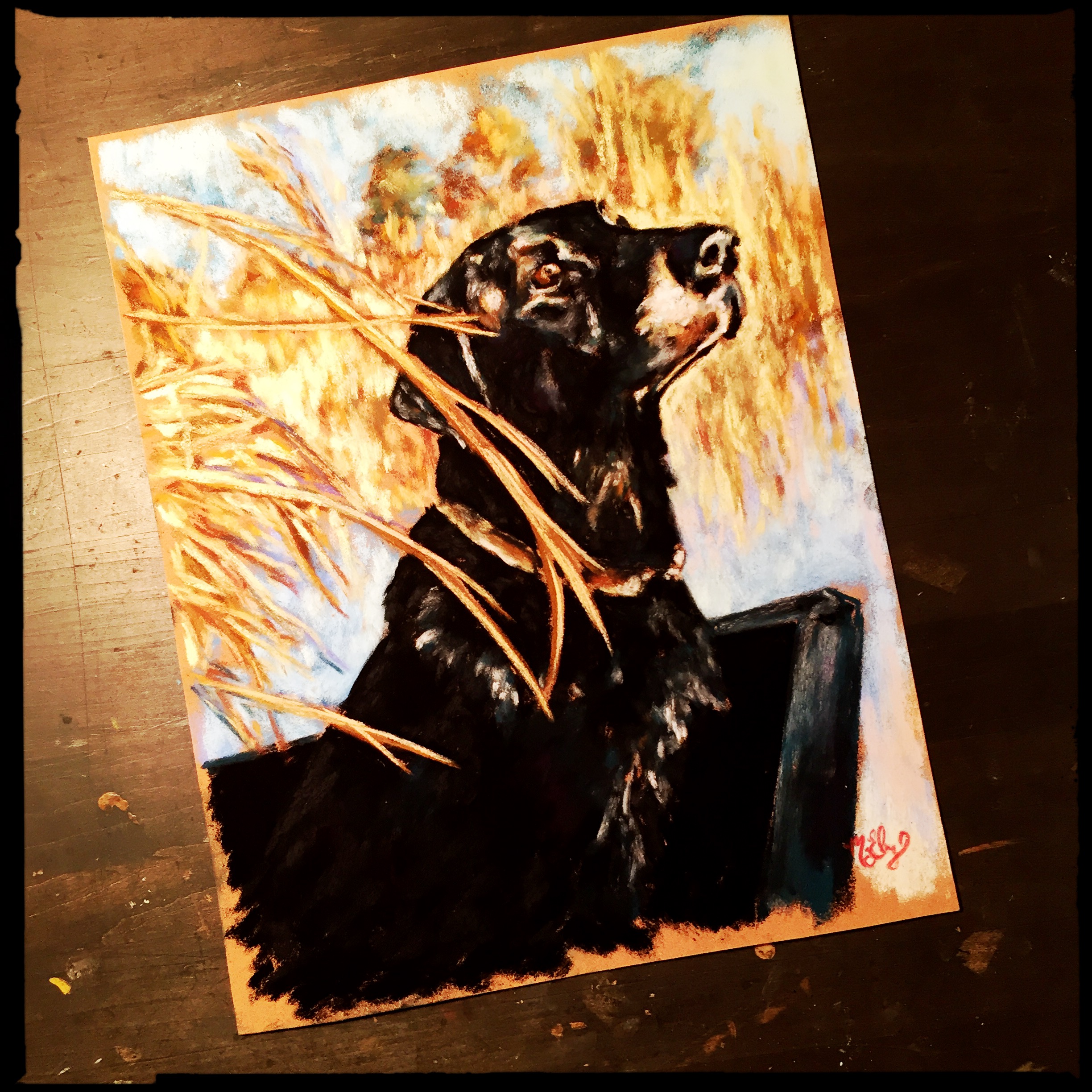 Suzie, 11x14 pastel on card