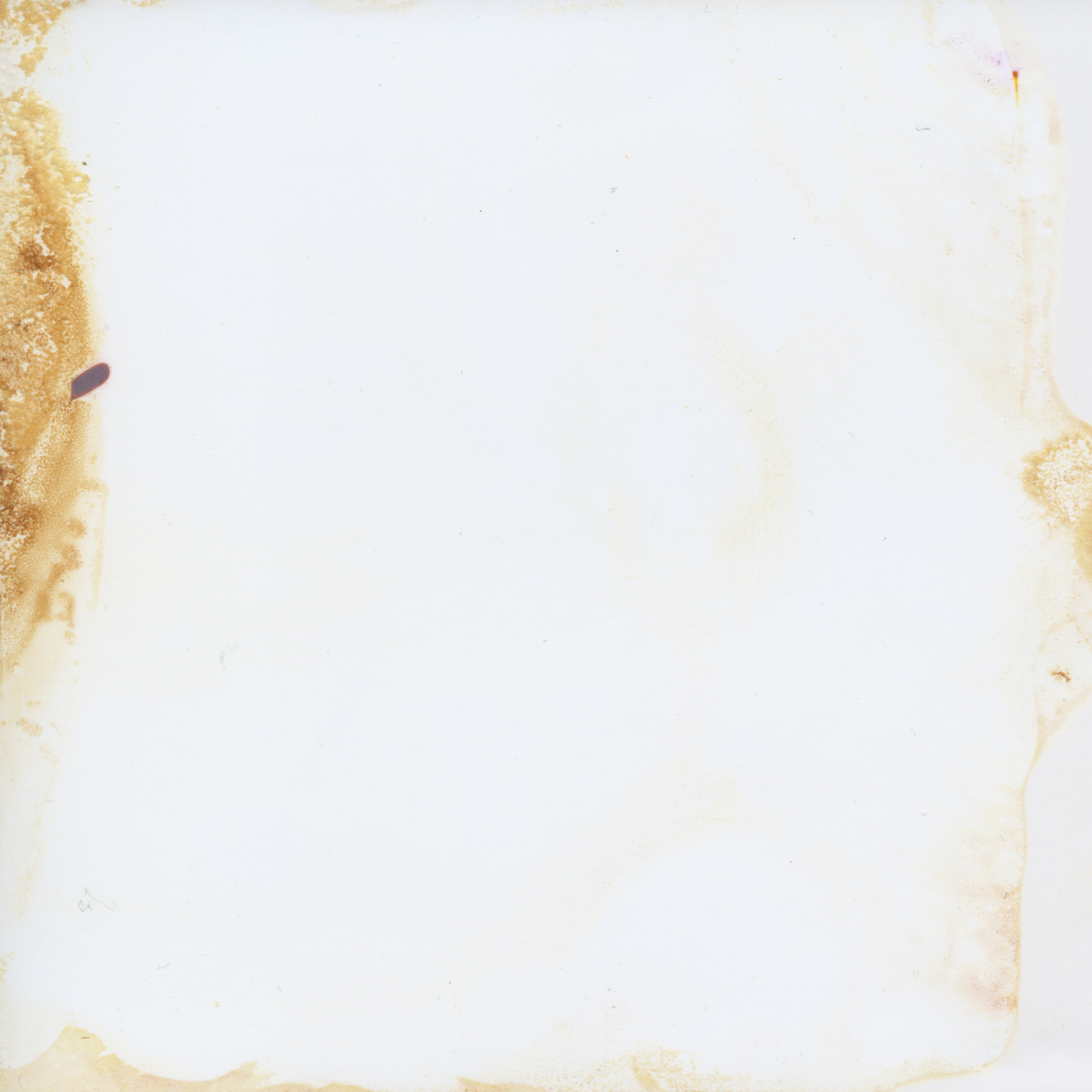 Untitled (2)
