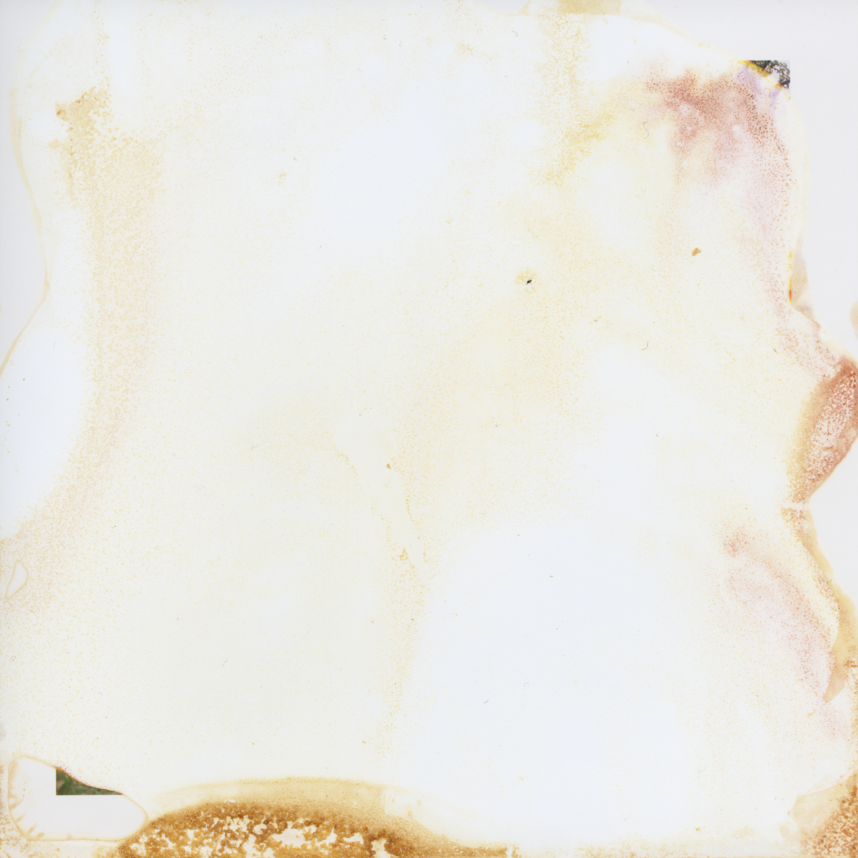 Untitled (3)
