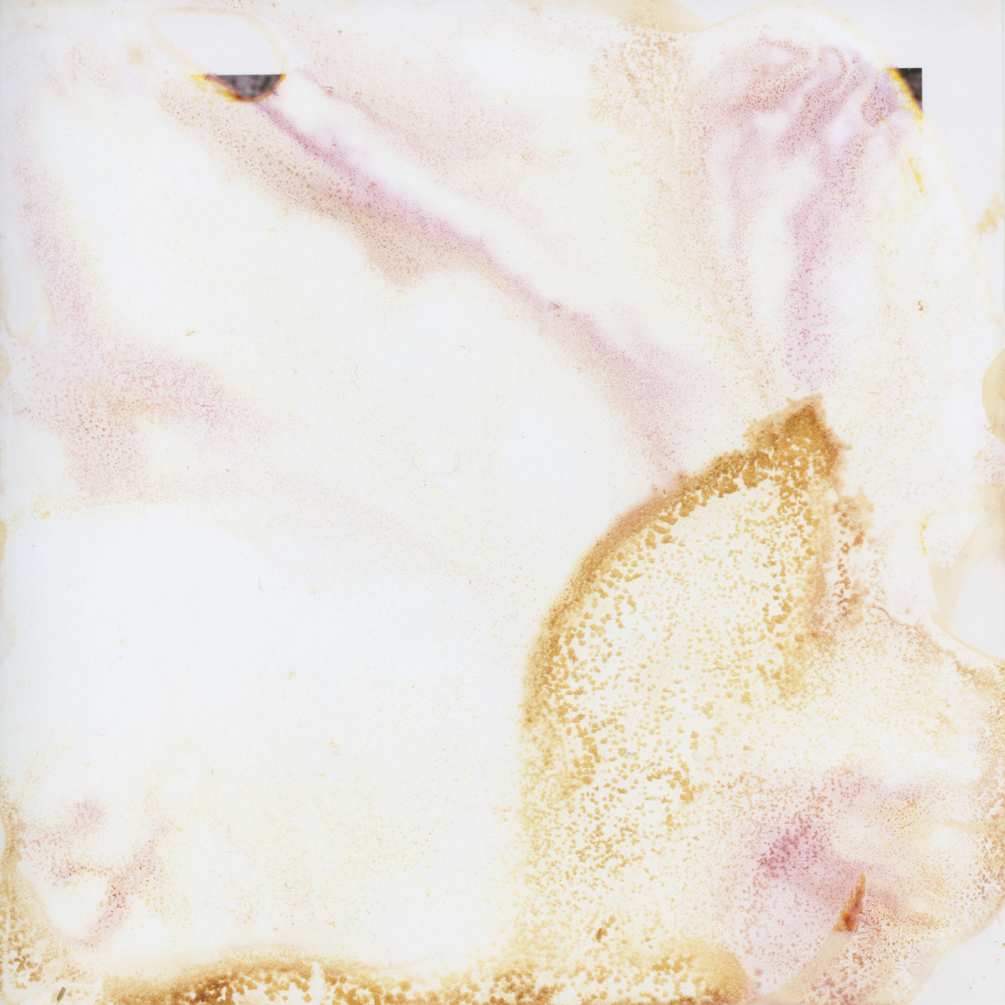 Untitled (4)