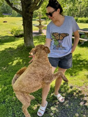 Minnesota Monarch shirt