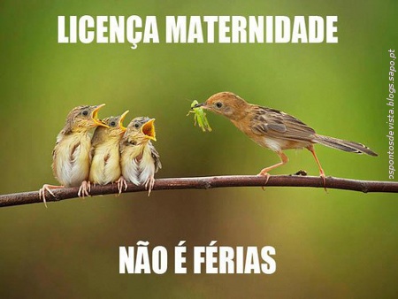licenca_maternidade