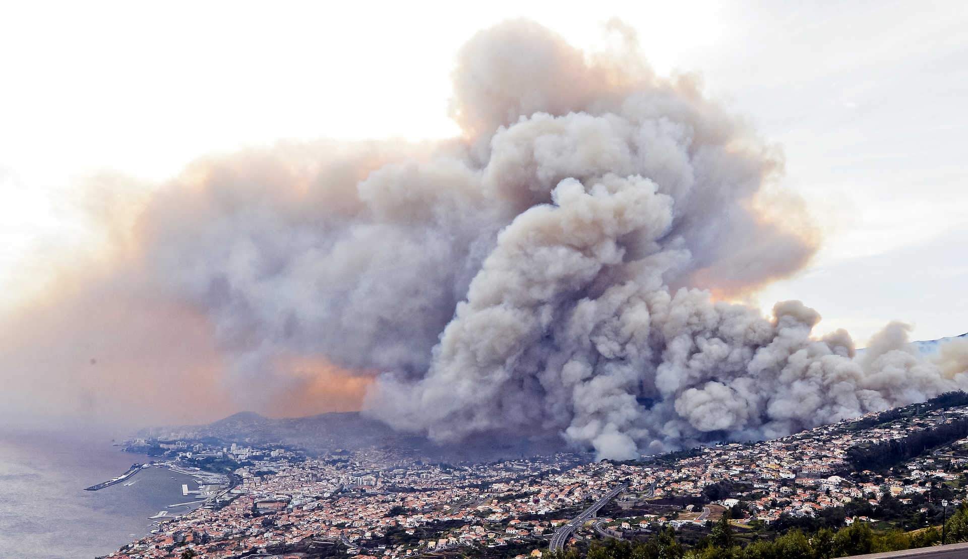 incendio_madeira