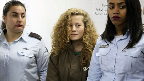 ahed