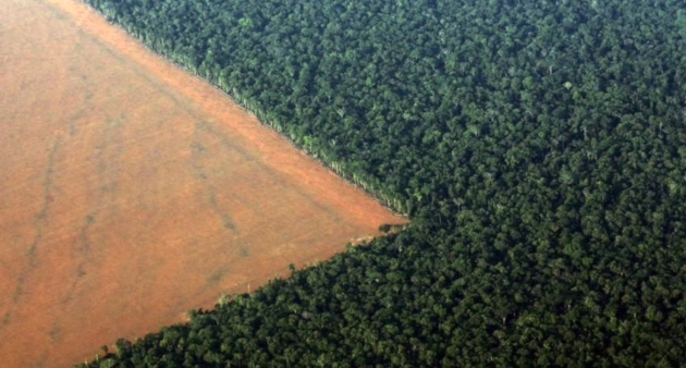 amazonia_desmatamento