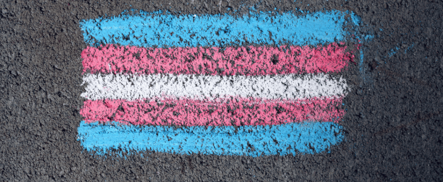 Visibiliddade Trans