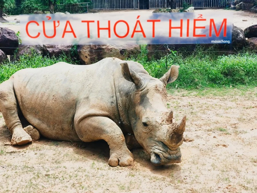 富國島珍珠動物園Safari Phu Quoc