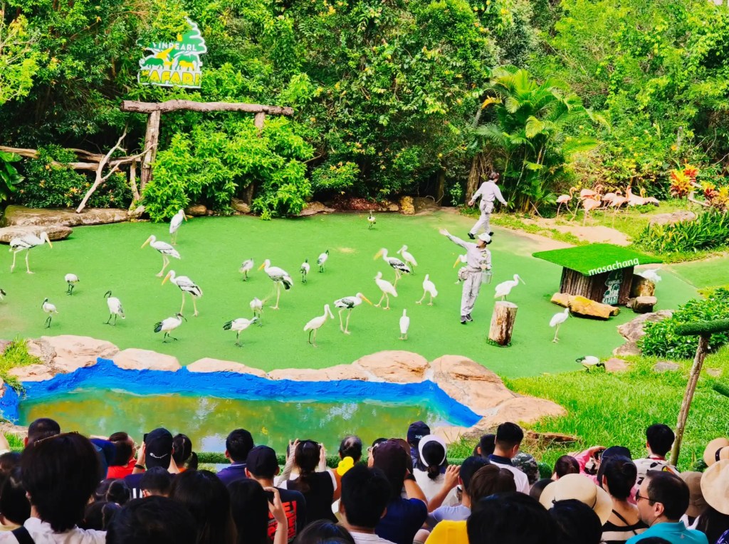 富國島珍珠動物園Safari Phu Quoc