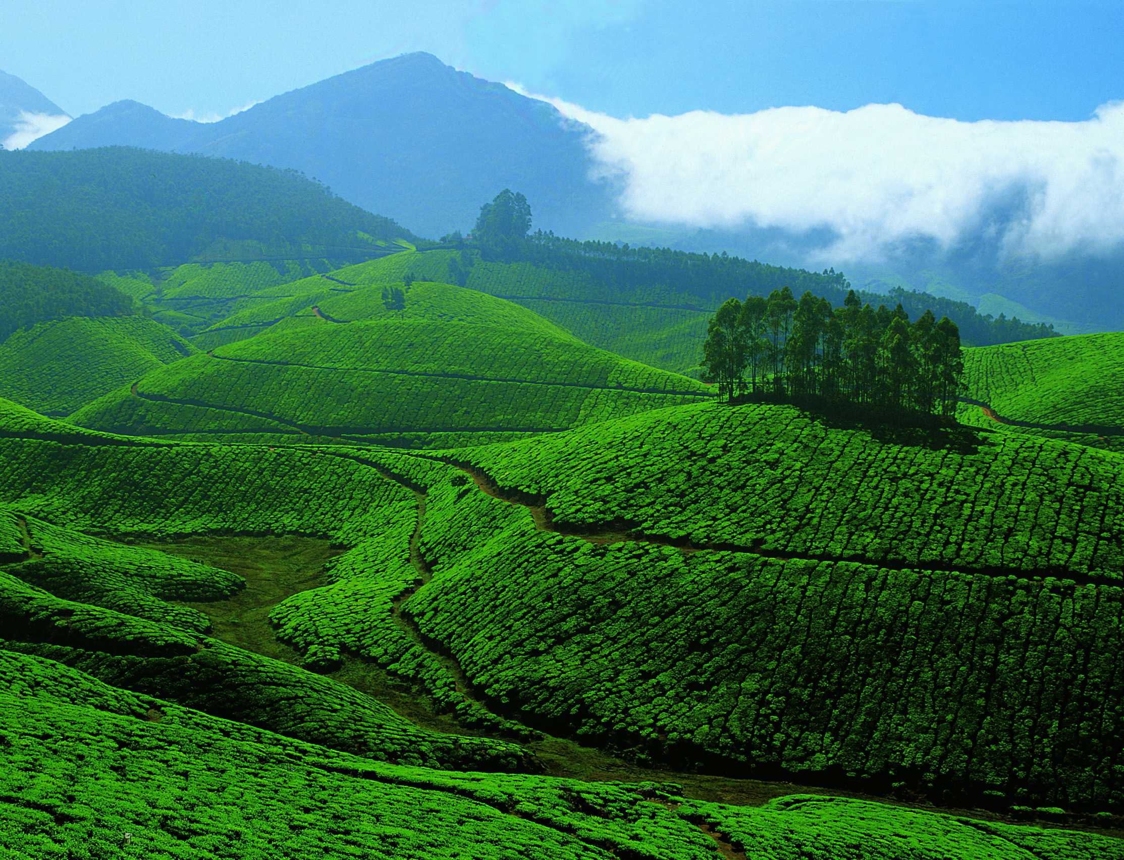 Kerala