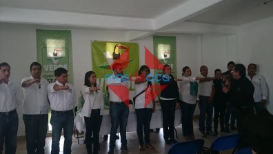 comite-pvem-1
