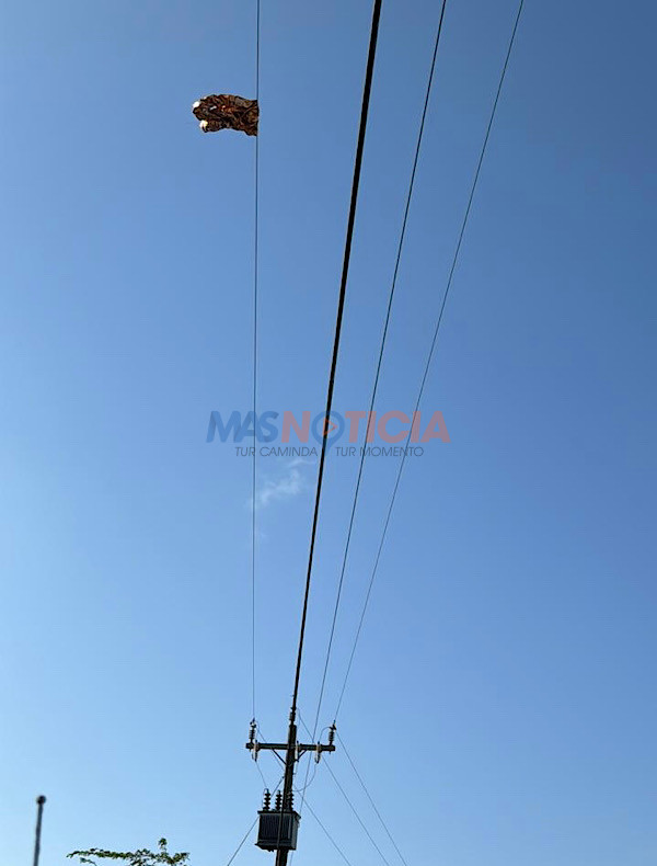 Otro blaas di helium ta laga parti di Oranjestad sin coriente