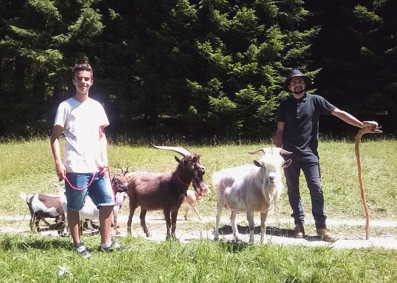 TREKKING CON LE CAPRE