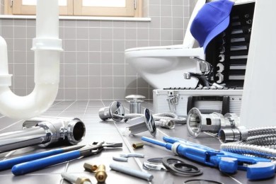 SANITARY SERVICES