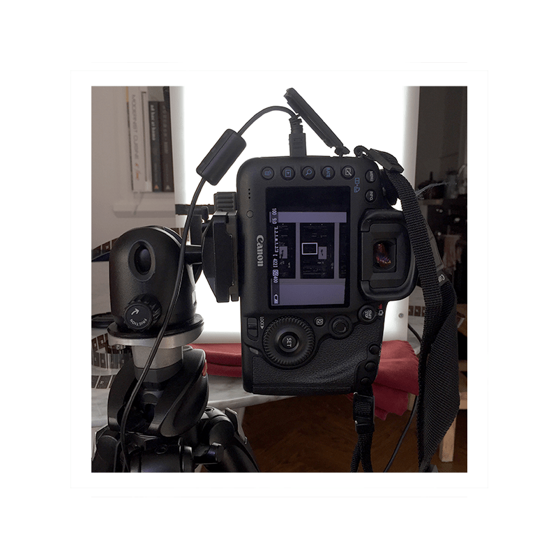 View from behind the camera, with tethering cable connected. When shooting the microfilm, I line up the left side of each certificate portrait with the right side of the white focusing square on my camera. This way, when I go to edit the images, the certificates will all be in more or less the same place in the frame. This allows for my batch processing to go a lot more quickly.