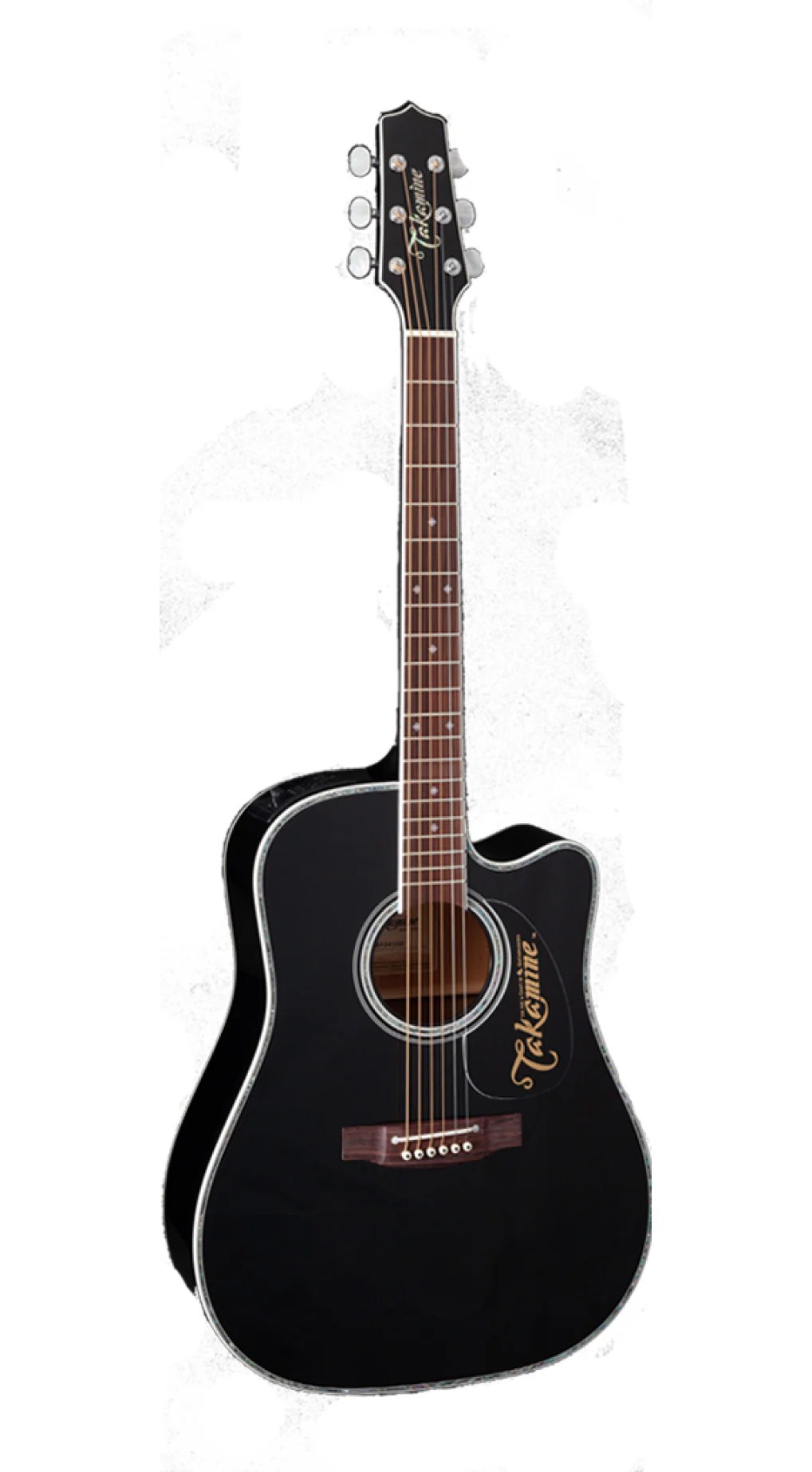 Takamine Ef341dx Guitar Massimo Accordions