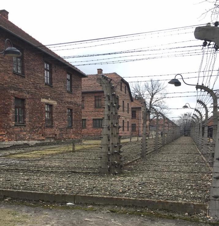 Visitare Auschwitz
