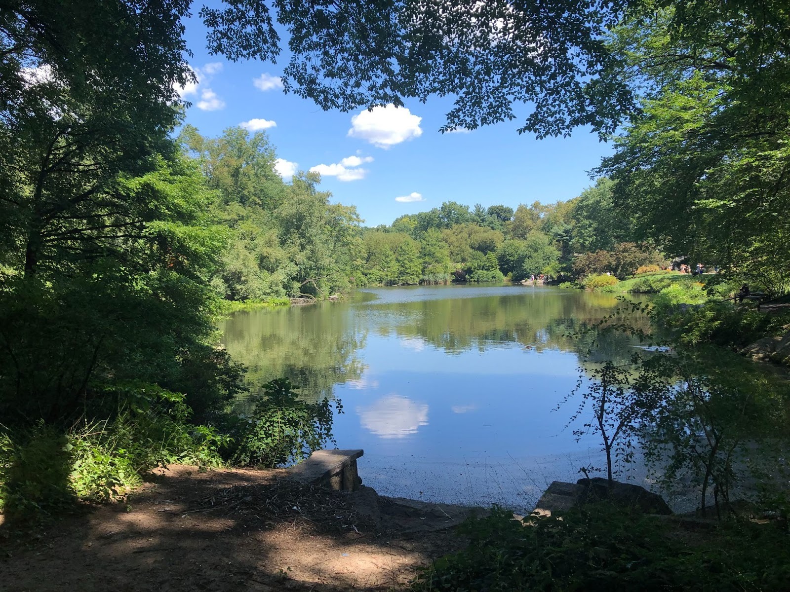 Cosa vedere a Central Park, nel Polmone verde di New York