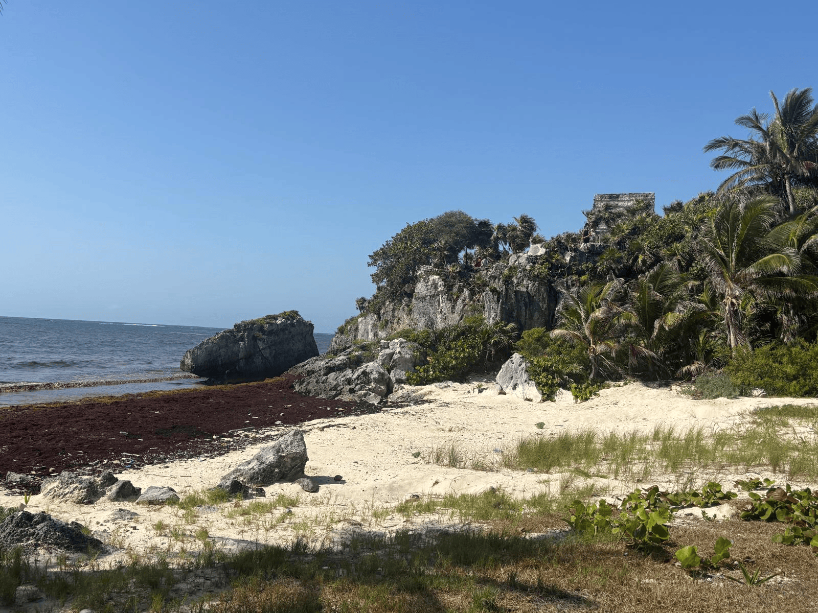 Cosa vedere nel sito archeologico di Tulum