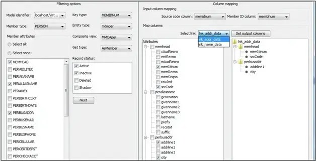 Interfacing Virtual Mdm Through Datastage - Premium Gradient Pattern Gallery - Retina