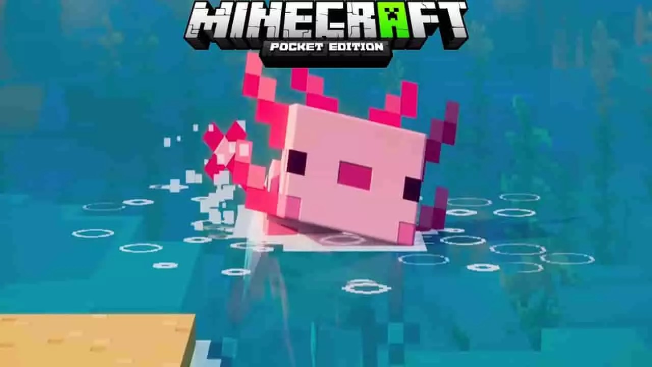 How to tame axolotls in Minecraft How to breed axolotls in Minecraft