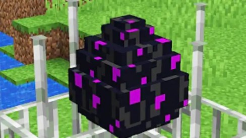 Dragon Egg