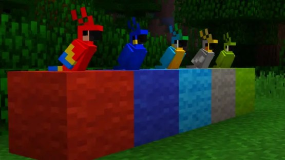 Some of the Uncommon Parrot to find in Minecraft