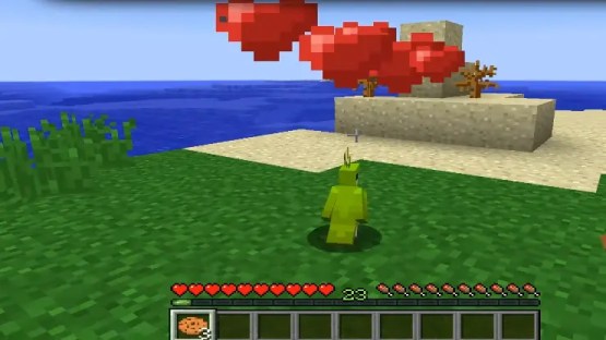 Things You can use to breed parrots in Minecraft