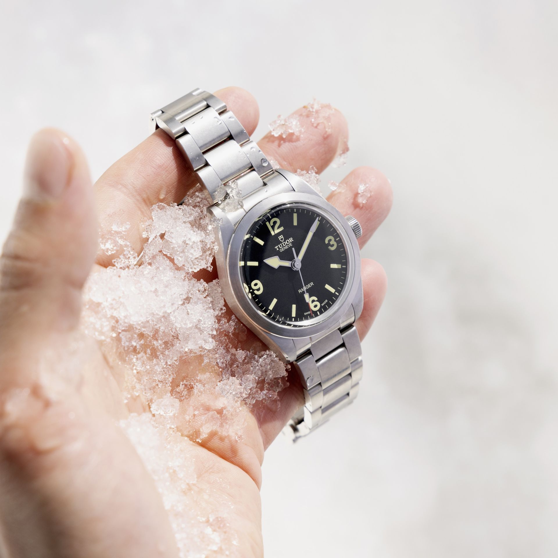 TUDOR RANGER