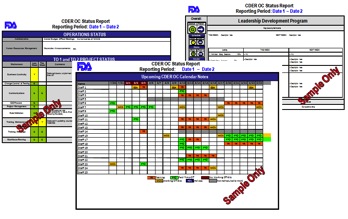 Master Key Consulting Project Report sample image