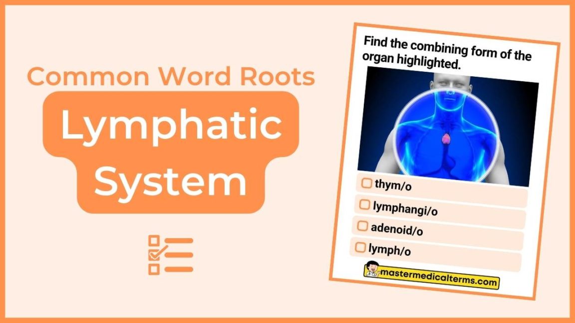 Common word roots for lymphatic system
