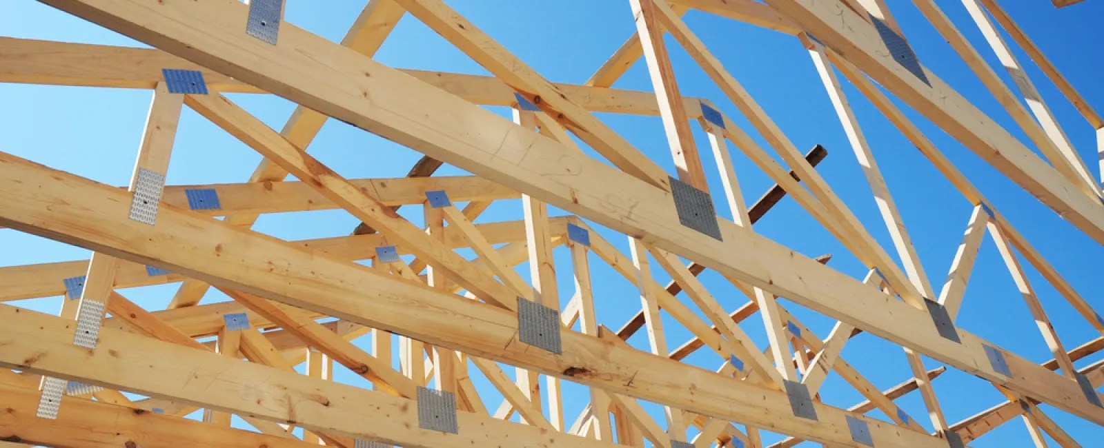 Roof Framing System