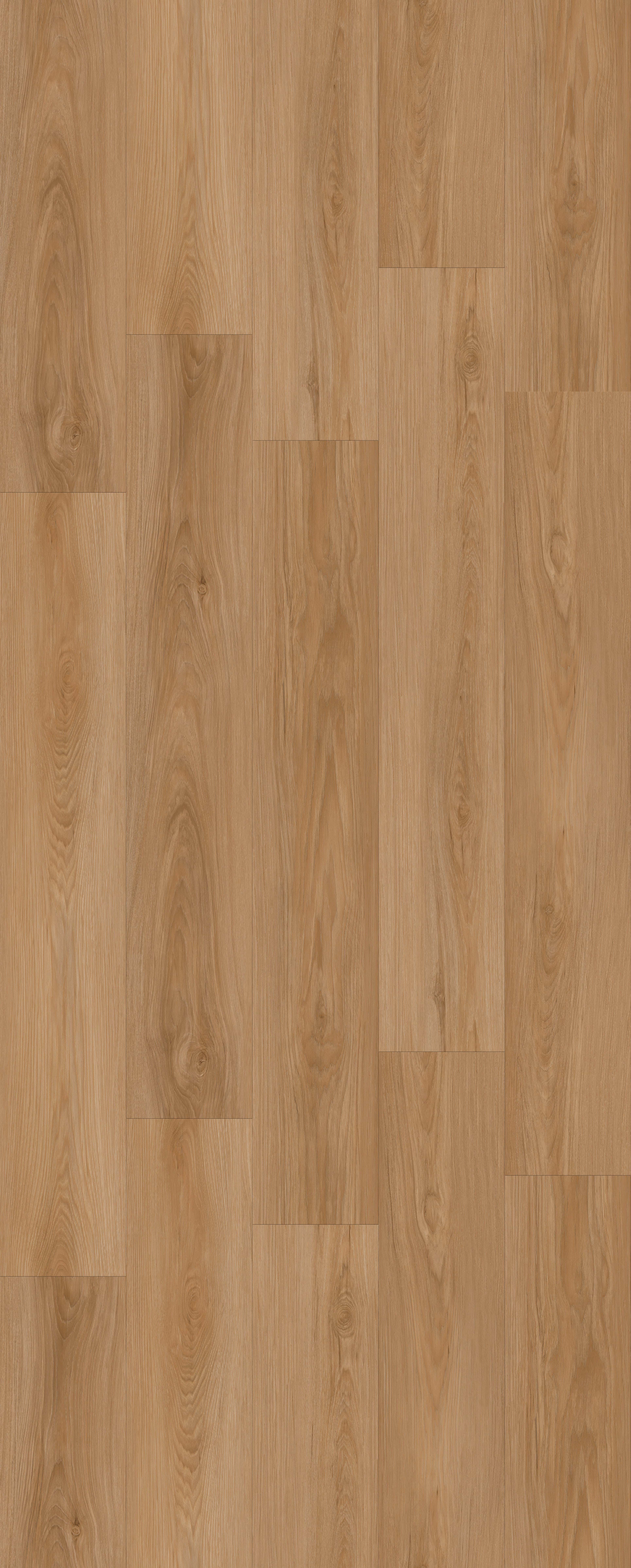 Parkay XCC- Amber Sunset Force Plus Collection - Masters Building