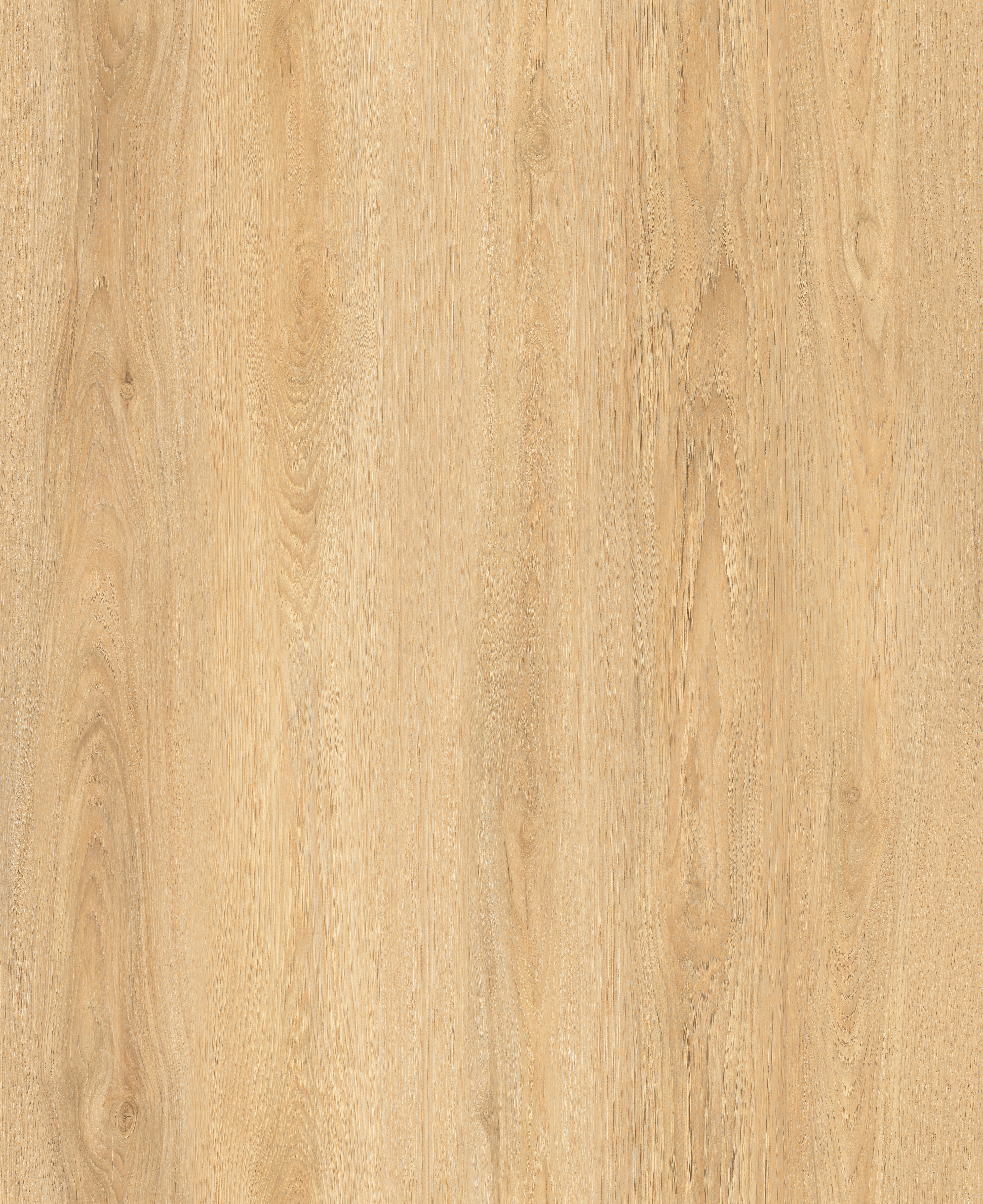 Parkay XCC- Sunlite Shore Force Plus Collection - Masters Building